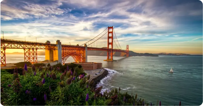 Australia & New Zealand